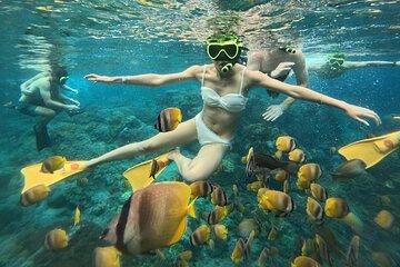 Nusa Penida Highlight: Snorkeling & West Side Adventure