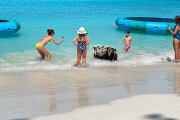 Best of Nassau - Reef Snorkel, Turtles & Pigs