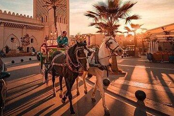 Majical red city Marrakech trip from Agadir 1 day