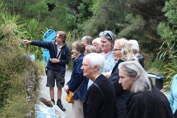 Animals of Aotearoa Wellington Zoo Tour