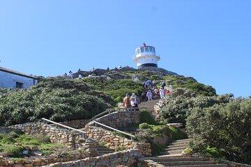 Table Mountain and Cape of Good Hope with Penguins