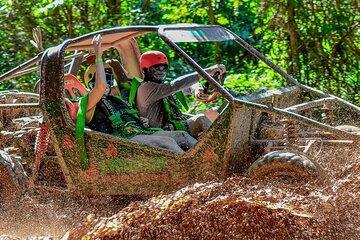 Full Experience Monkeys Cenote Cave and Plantation in Punta Cana