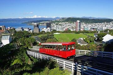 Wellington Private Day Tour with Door to Door Transfers