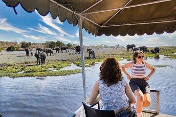 Chobe’s Half-Day River Adventure: Where the giants come to bath