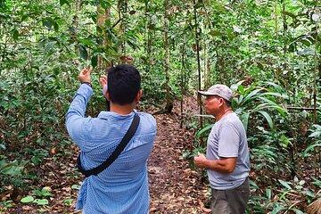 Hike in the White Sand Jungle National Park in Iquitos