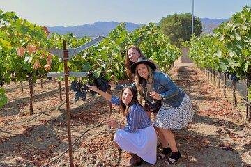 Wine Adventures in Sonoma Valley