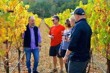 Wine Adventures in Napa Valley