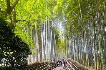 Customize Kyoto and Nara Couple Tour