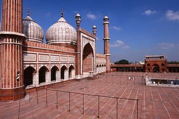 Sight and Sounds of Old Delhi
