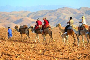 Agafay Desert Marrakech Dinner with Show And Camel Ride