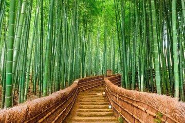 Kyoto and Nara Customized Private Car Tour