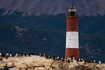 Beagle Channel & exclusive experience at the end of the world