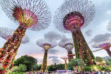 Gardens by the bay Singapore ticket with all Domes & Tram Access