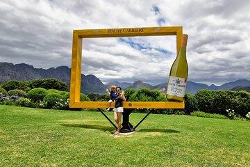 Tailored Cape Winelands Private Tour Including Wine Tasting