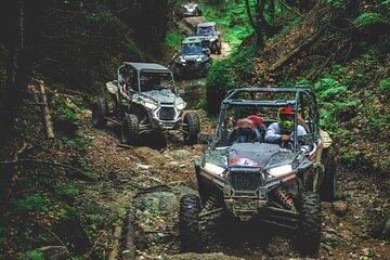 From Bucharest: 5 Hours Buggy tour full adrenaline