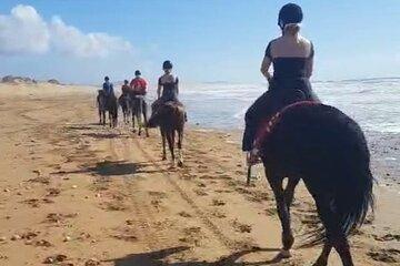 Horseback Ride Through Essaouira’s Beaches and Dunes