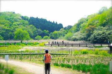 Lake Shidaka and Lake Kagurame Nordic Walking Tour