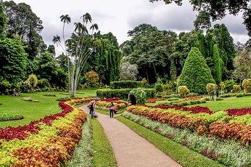 Kandy City Tour & Scenic Visit to Ambuluwawa TowerCar or MiniVan