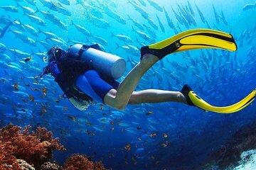 PADI Advanced Open Water Diving Course with Transfer – Marsa Alam