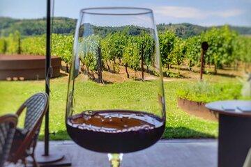 Private Chianti wine tour