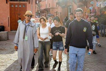 Half Day Tour of Marrakech Highlights and Hidden Gems