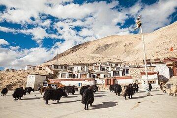 7 Days Lhasa Shigatse EBC Exploration Tour