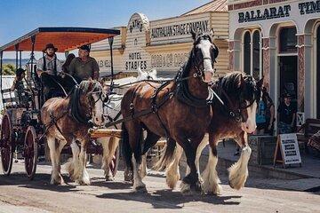 Ballarat Animals and Gold Rush Sovereign Hill Tour