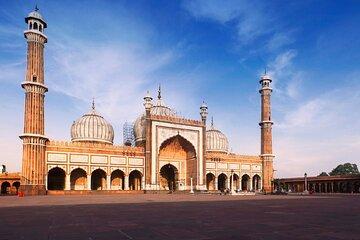 Private Guided Delhi City Tour
