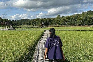 Unseen Sukhothai Province 2 Days 1 Night Private Tour