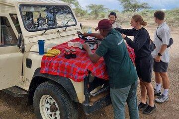 10 Day Tanzania Safari and Trekking Remote Area