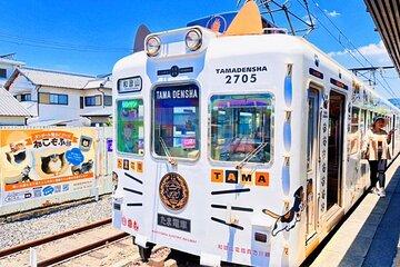 Osaka Wakayama Cat Train, Seafood market, Hot Springs Tour