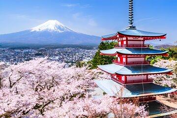 Private Mt. Fuji Day Trip from Tokyo with English-Speaking Driver