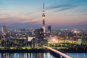 Tokyo Private Sightseeing Tour by Car and English Speaking Driver