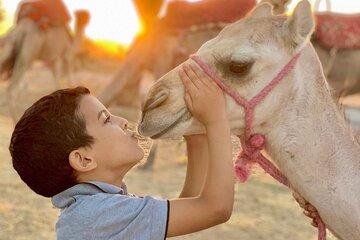 From Marrakech Swimming Pool, Camel Ride, Lunch in Agafay Desert
