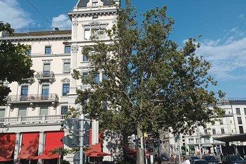 Sightseeing Walking Tour of Zurich