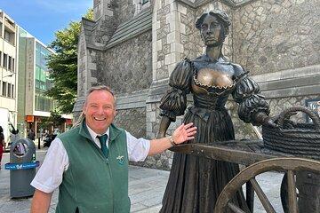 Dublin Walking Tour Castle, Cathedrals & Stories with Local Guide