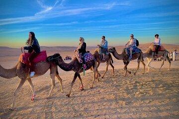 agafay desert evening camel ride dinner and live music