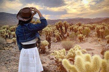 Joshua Tree National Park and Pioneertown Tour