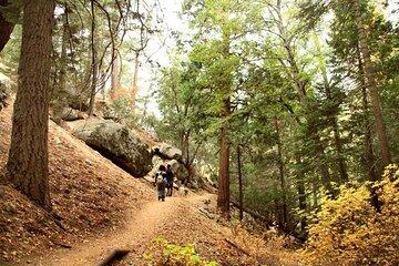 Idyllwild Day Tour