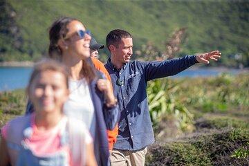 Classic Guided Day Tour to Kapiti Island