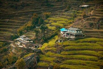 Ghorepani Poonhill Ghandruk Trek from Pokhara: 4-Day Adventure
