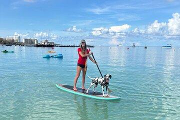 Private Aruba Stand Up Paddleboard Experience