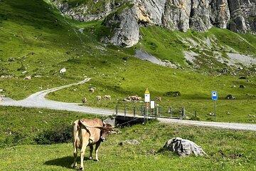 Private Hidden Switzerland Day Tour with Local Guide