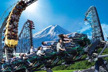 Mount Fuji Passes (optional)