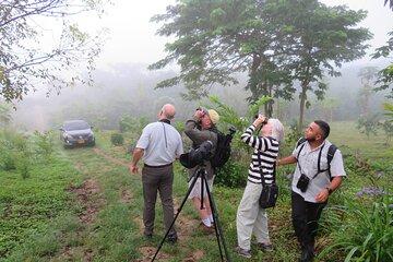 Agricultural Visit Camelias Organic Farm and Dry Forest Birds