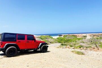 Private Tour in Aruba Natural pool and Turtle Viewing