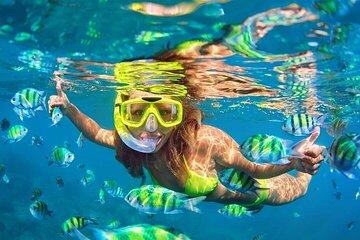 Los Cabos Platinum Snorkel Experience