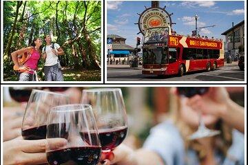 SF Bundle: Wine Country, Coast Redwoods, and Hop-on Hop-off Tour