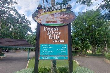 Private Dunn's River Falls Tour from Montego Bay