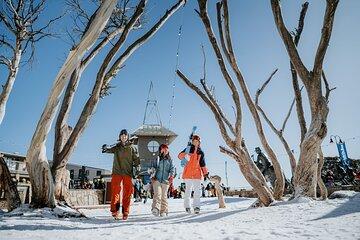 Mount Buller Day Tour from Melbourne